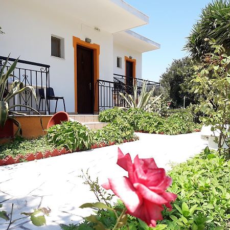 Studios Dimitris Punta Exterior foto
