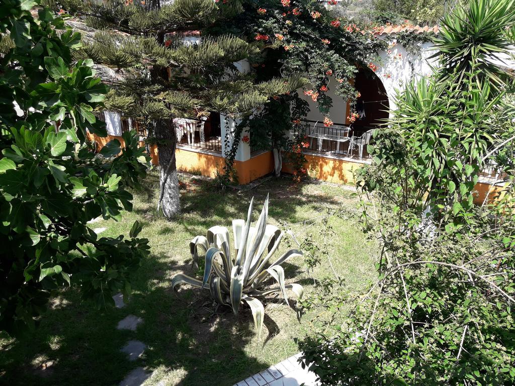 Studios Dimitris Punta Exterior foto