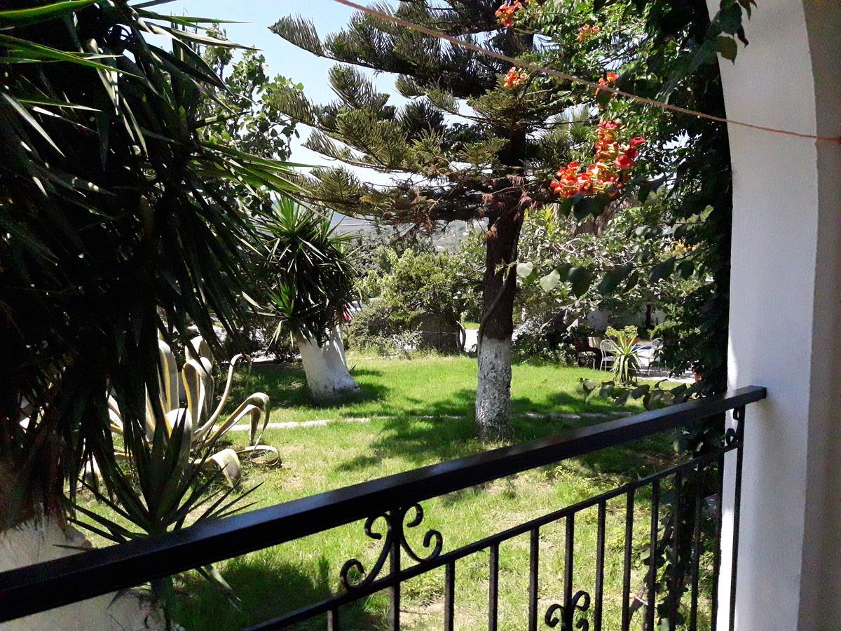 Studios Dimitris Punta Exterior foto